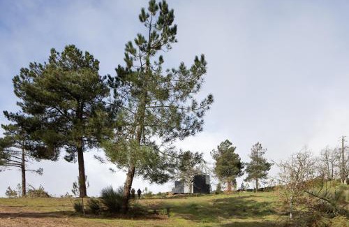 Meda House | CASA NO CASTANHEIRO