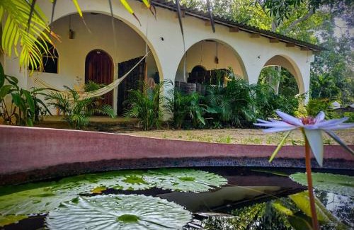 Troncones House | Casa pájaros- Habitacion Quetzal