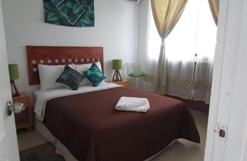 Tezoyuca House | Casa Palmera con Aire acondicionado Alberca Wifi cocina y TV