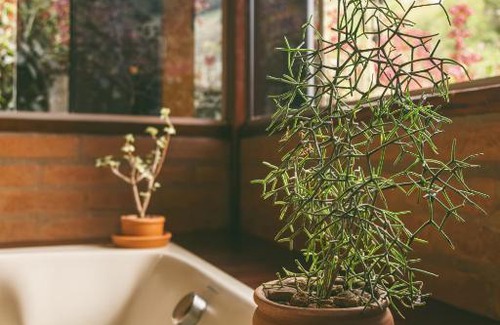 Sao Bento do Sapucai House | Casa Pedacinho de Céu com banheira de hidromassagem e lareira