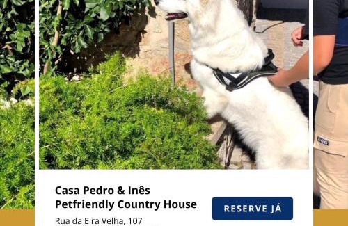 Viana do Castelo House | Casa Pedro e Inês