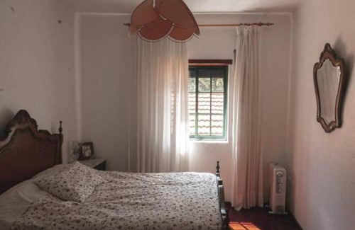 Pena Falcao House | Casa Penafalcão