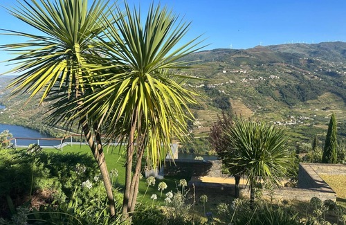 Baiao Cottage | Casa Privada com Vista Única Sobre o Douro