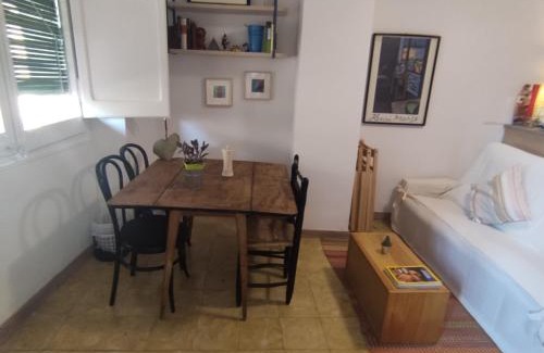 Salas de Pallars Apartment | Casa Rius