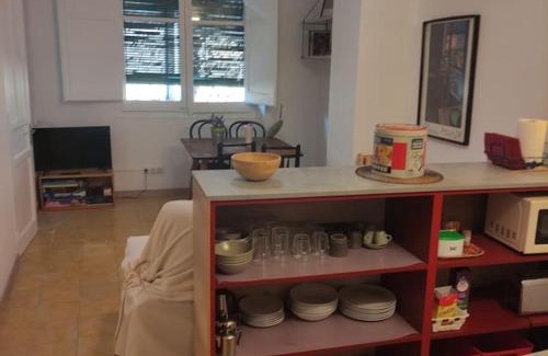 Salas de Pallars Apartment | Casa Rius