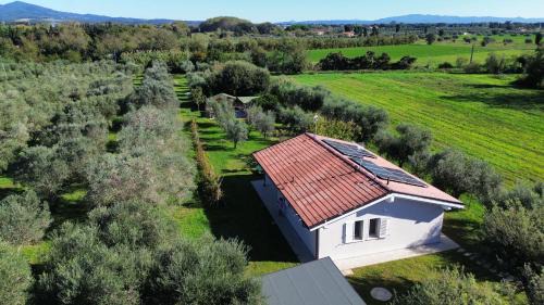 Rosignano Marittimo House | Casa RiVa - Among olive trees and the Tuscan coast