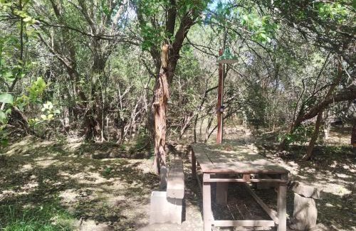 San Marcos Sierra Other | Casa Rodante y Camping Los Retoños