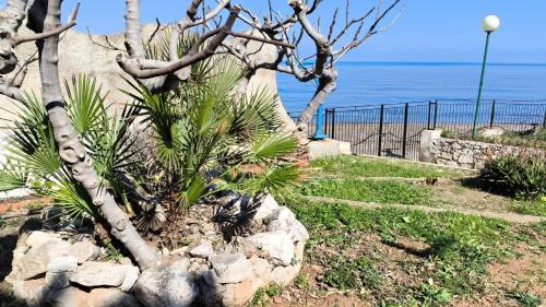 Altavilla Milicia House | Casa Sulla Spiaggia Villa Eléftheria