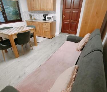Chiscau Apartment | Casa Tâmplarului