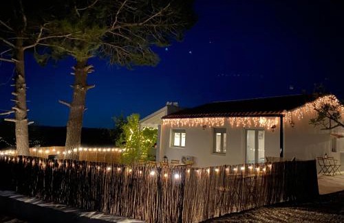 Navarres House | Casa the Dutchman
