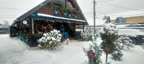 Viseu de Sus House | Casa Toth din Țipțerai