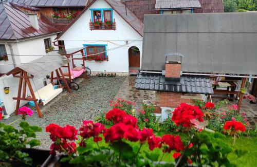 Viseu de Sus House | Casa Toth din Țipțerai