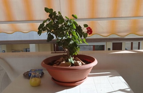 Porto Torres Apartment | CASA TURRITANA: LOVELY THREE-ROOM APARTMENT conveniently close to the sea.