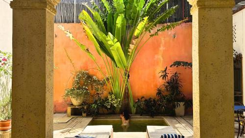 Historic Center Hotel | Casa Zarah - Alma Hotels