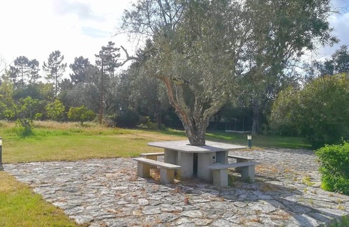 Sao Lourenco Cottage | CASAL DO CHOUPELO Farm with pool, barbecue, games room and land