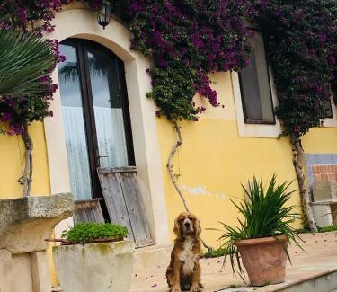 Acate Bed & Breakfast | Casale Rocca Fiorita