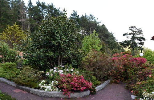 Camacha House | Casas de Pedra - The Magnolia - Enjoy the amazing rural atmosphere.