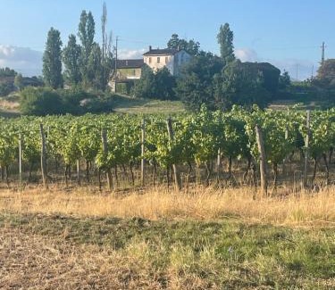 Carpeneto House | Cascina Valgrande, Monferrato