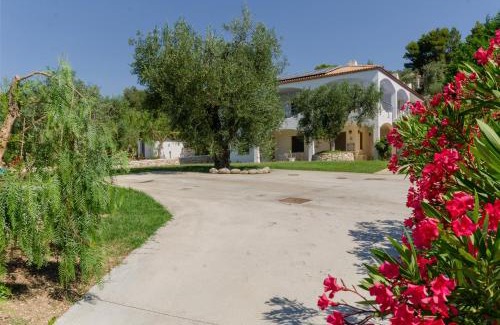 Mattinata Apartment | Case Vacanza Fracarluccio