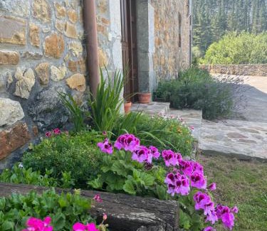 Orozko House | Caserío Sautu Goikoa