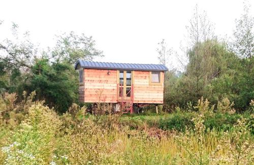Albairate House | Casetta sul lago