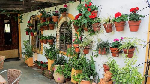 La Brena Hotel | Casona Granado