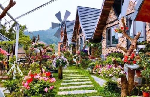 Tam Dao House | Cau May Tam Dao - Venuestay