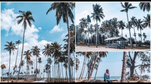 Setiu House | CC HOMESTAY PRIVATE POOL Kampung Mangkuk, Terengganu