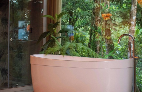 Mera Cabin | Cedro Amazon Lodge