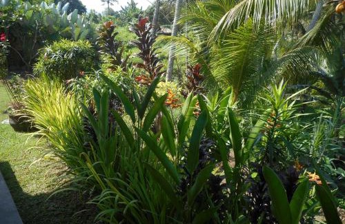 Sidemen House | Cegeng Lestari Guesthouse