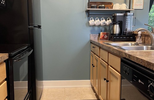 Douglas Condo | Celestial Pointe Condominium 1 Bedroom 1 Bathroom, Sleeps 4 @ Northern Lights