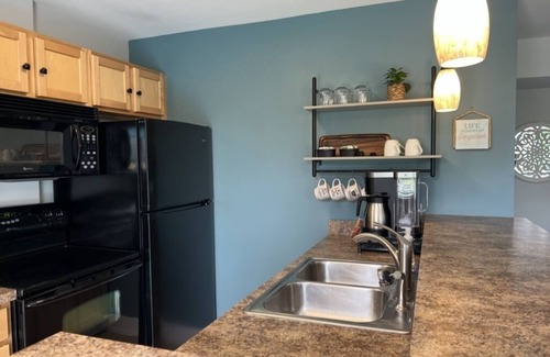 Douglas Condo | Celestial Pointe Condominium 1 Bedroom 1 Bathroom, Sleeps 4 @ Northern Lights