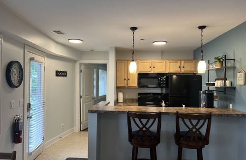 Douglas Condo | Celestial Pointe Condominium 1 Bedroom 1 Bathroom, Sleeps 4 @ Northern Lights