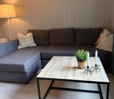 Notodden Apartment | Central apartment