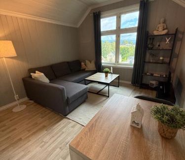 Notodden Apartment | Central apartment