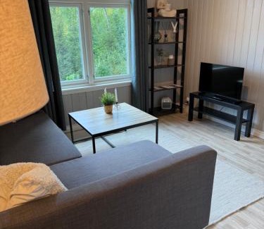Notodden Apartment | Central apartment