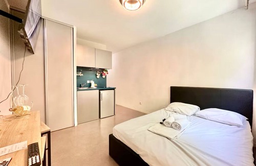 Montessuy Apartment | Central, fully-equipped studio Lyon kitchen included