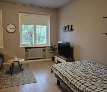 Vaasa Apartment | Central Studio in Vaasa with Free Parking