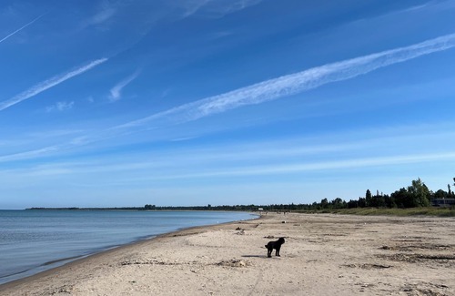 Sauble Beach Cabin | Centrally located cabin in beautiful Sauble Beach. The cutest little getaway!