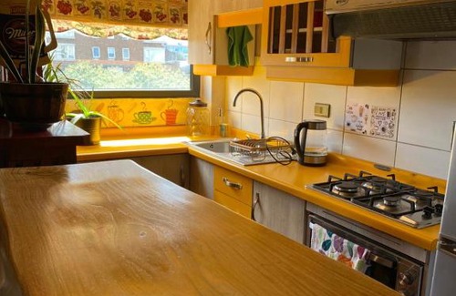 Temuco Apartment | Centro de Temuco Depto único, rústico y a pasos de todo Incluye estacionamiento