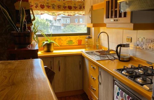 Temuco Apartment | Centro de Temuco Depto único, rústico y a pasos de todo Incluye estacionamiento
