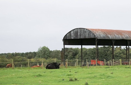 Wing House | CENTURION, family friendly, with a garden in Brampton, Cumbria