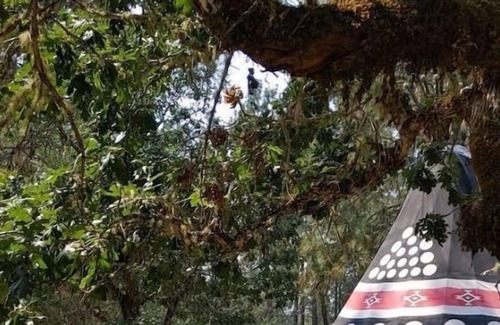 Cave Junction House | Ceremonial Tipi - 20' - Sleeps up to 6