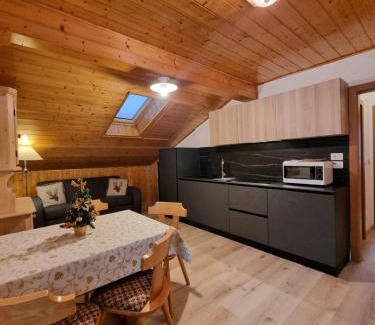 Penia Apartment | Cesa Elena