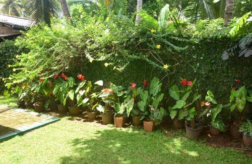 Anuradhapura House | CFC Holiday Home