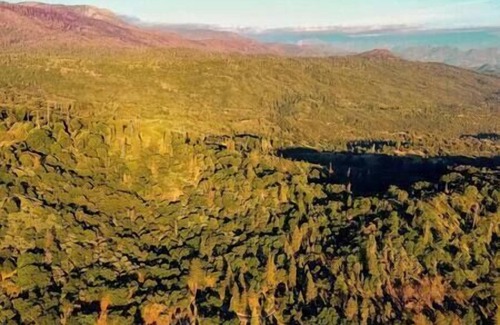 Pinehurst RV Rental | CG30 Med Campsite/Shower Kings Canyon/Sequoia NP