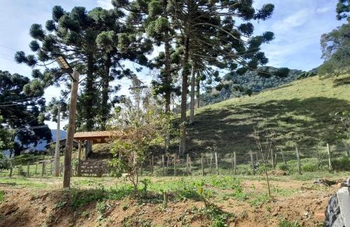 Sao Bento do Sapucai House | Chácara Araucaria