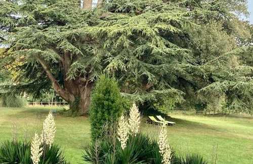 Tierce Hotel | Château La Bainerie