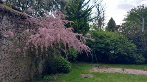 Tourouvre Bed & Breakfast | Ch kingsize avec vue sur le Perche