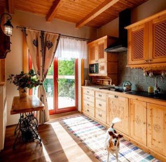 Witow Apartment | Chałupa na wsi u Papierzy Sauna, Jacuzzi, SPA